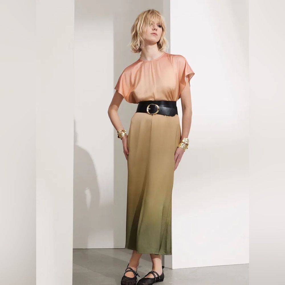 🌅 & Other Stories Los Angeles Atelier Ombre Maxi Dress – Size 4 (NWT)